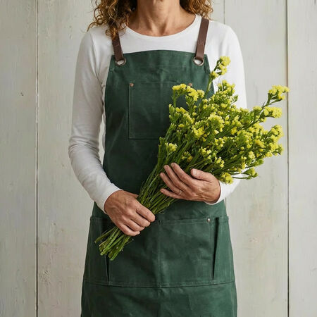 Hipster Yellow, Statice Seeds - Packet image number null